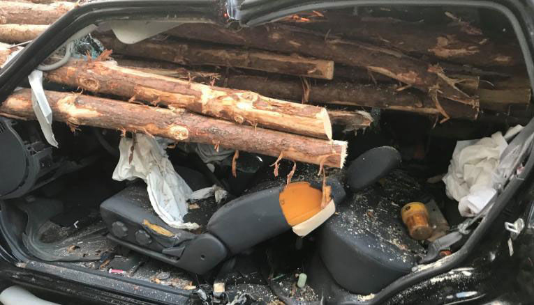 Car impaled